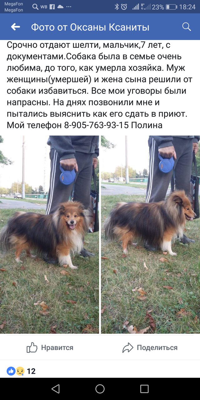 Изображение