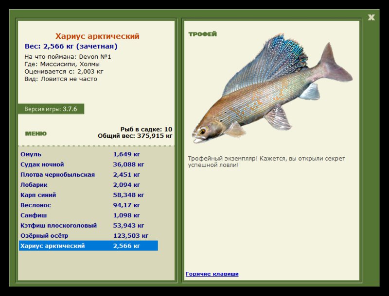 Учимся использовать BBcode в сообщениях 