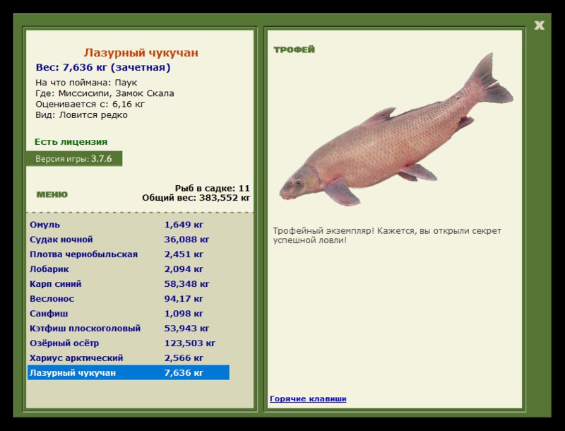Учимся использовать BBcode в сообщениях 