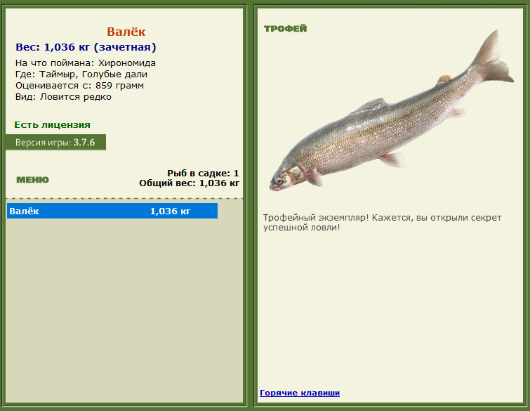 турниры • РУССКАЯ РЫБАЛКА