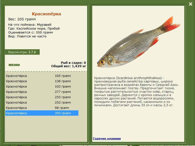 РУССКАЯ РЫБАЛКА Installsoft Edition 