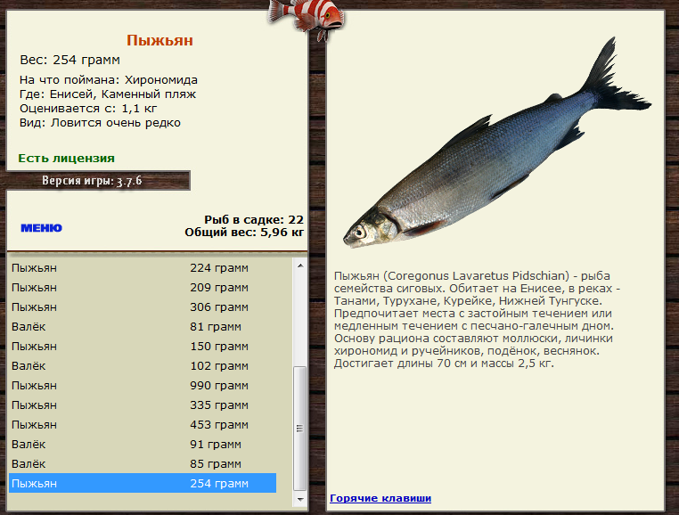 Каменный пляж 