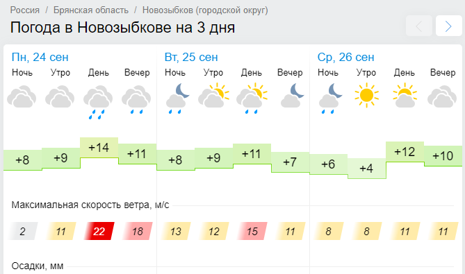 Погода в Новозыбкове на 14 дней (Брянская область)