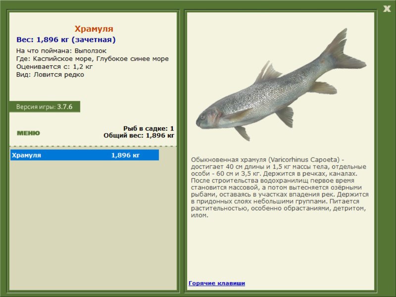 Глубокое синее море 