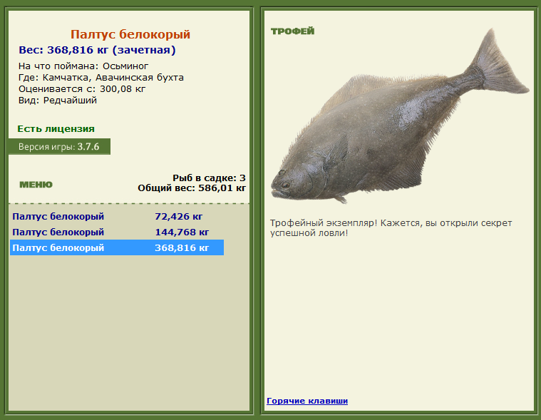 турниры • РУССКАЯ РЫБАЛКА