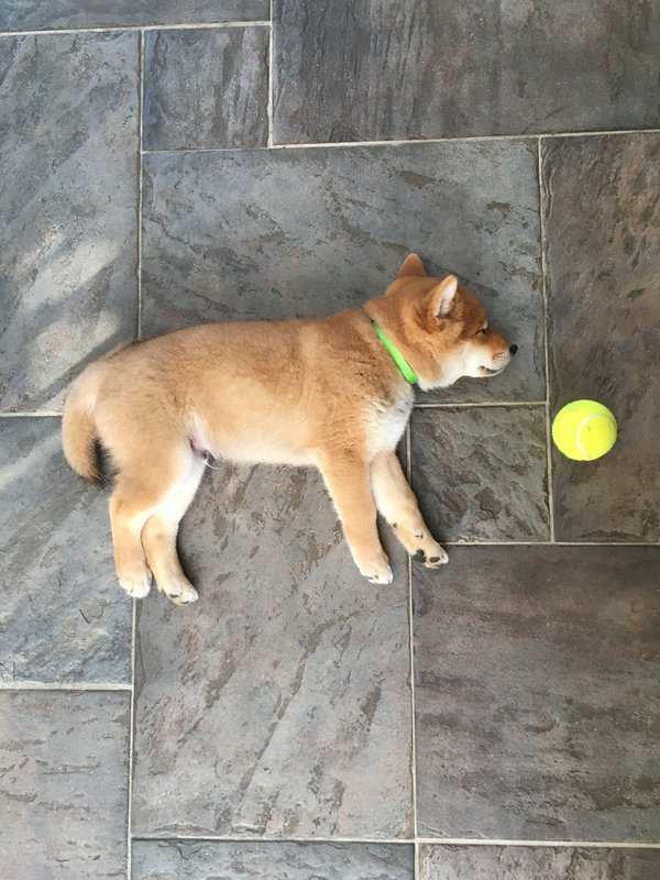  Страница 122