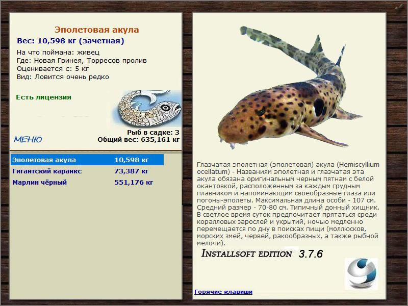 Торресов пролив 
