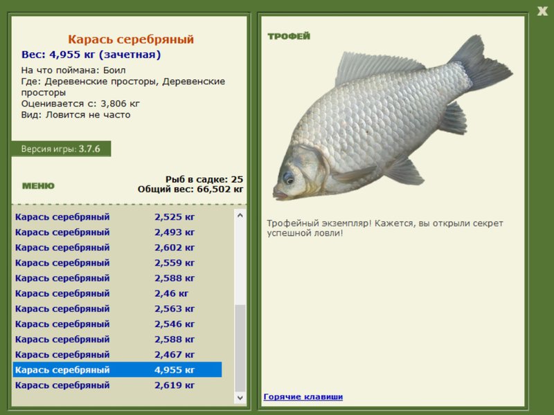РУССКАЯ РЫБАЛКА Installsoft Edition 