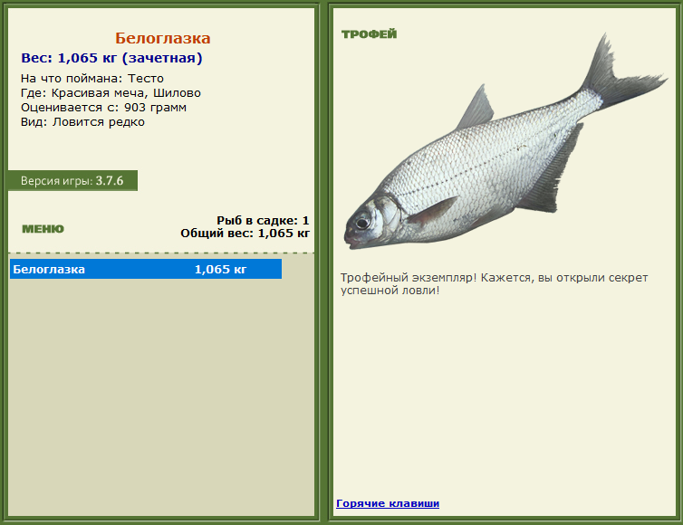 турниры • РУССКАЯ РЫБАЛКА