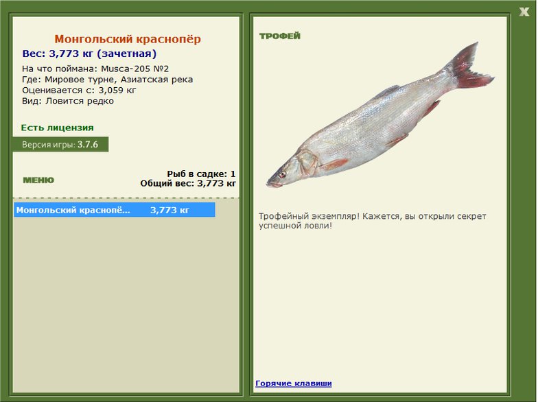 Монгольский краснопёр 