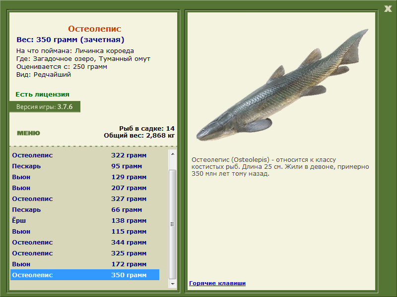Туманный омут 