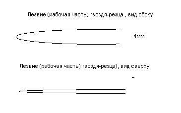 Форумы сайта \\