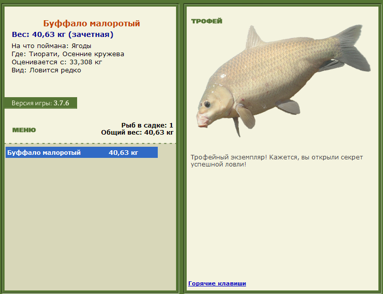 турниры • РУССКАЯ РЫБАЛКА