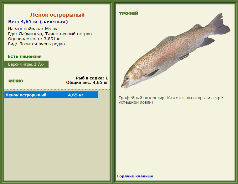 турниры • РУССКАЯ РЫБАЛКА