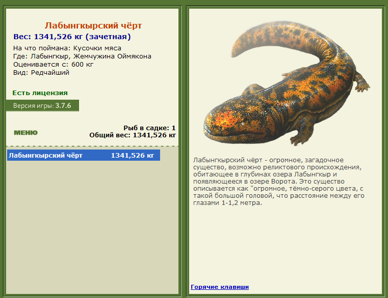 турниры • РУССКАЯ РЫБАЛКА