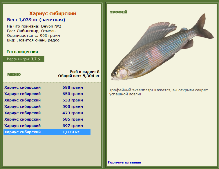 турниры • РУССКАЯ РЫБАЛКА