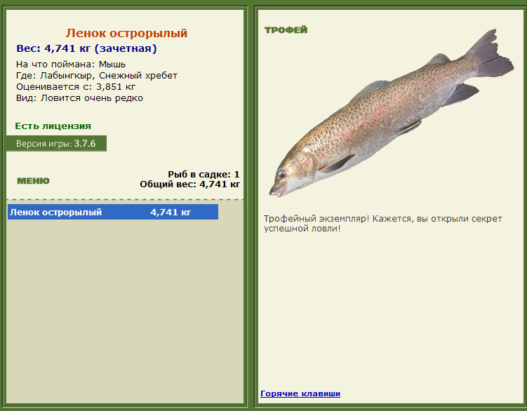 турниры • РУССКАЯ РЫБАЛКА