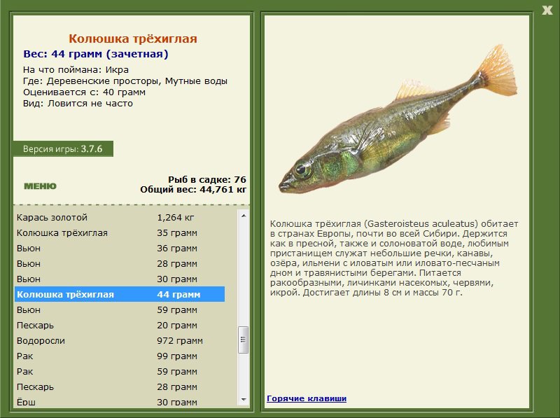 Деревенские просторы 