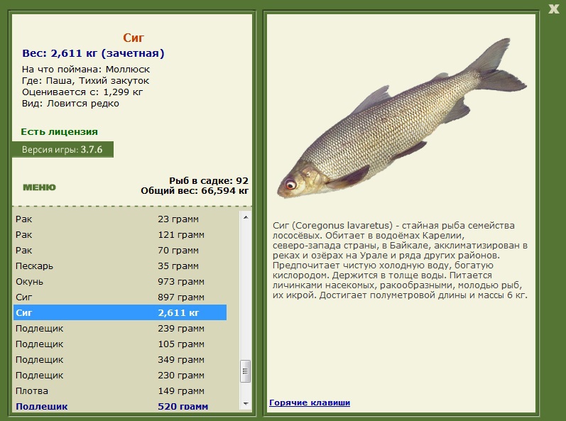 Тихий закуток 