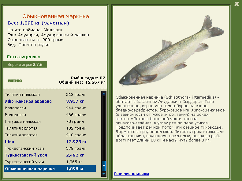 турниры • РУССКАЯ РЫБАЛКА