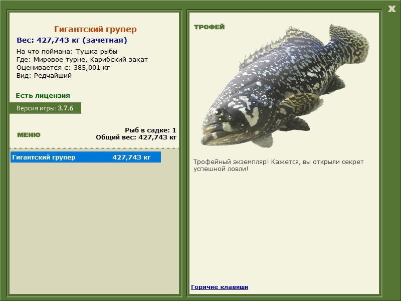 Гигантский групер 
