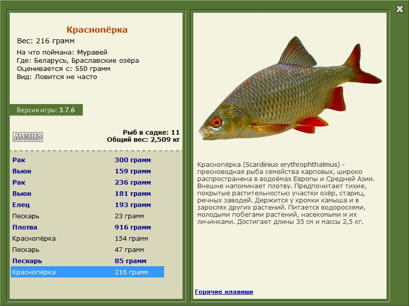 Браславские озёра 