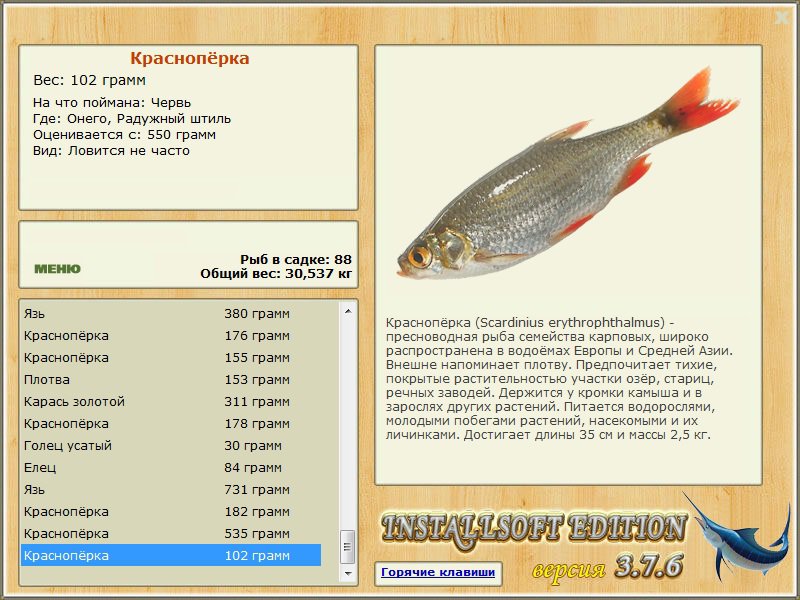 турниры • РУССКАЯ РЫБАЛКА