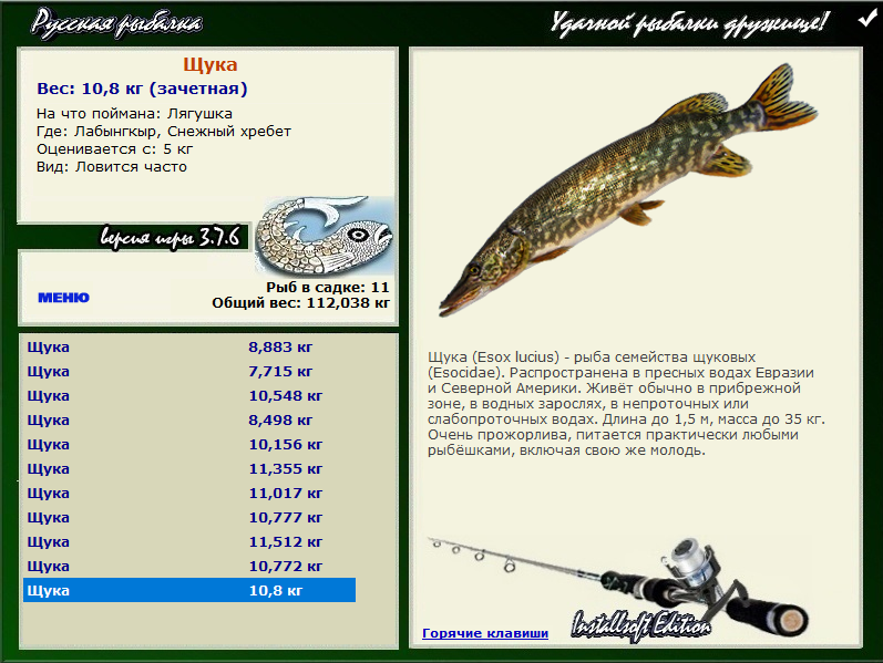 турниры • РУССКАЯ РЫБАЛКА