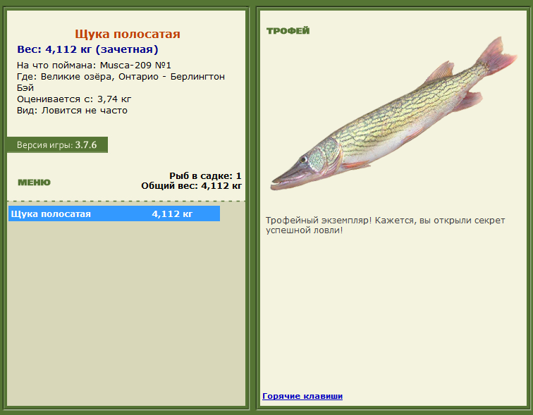 турниры • РУССКАЯ РЫБАЛКА