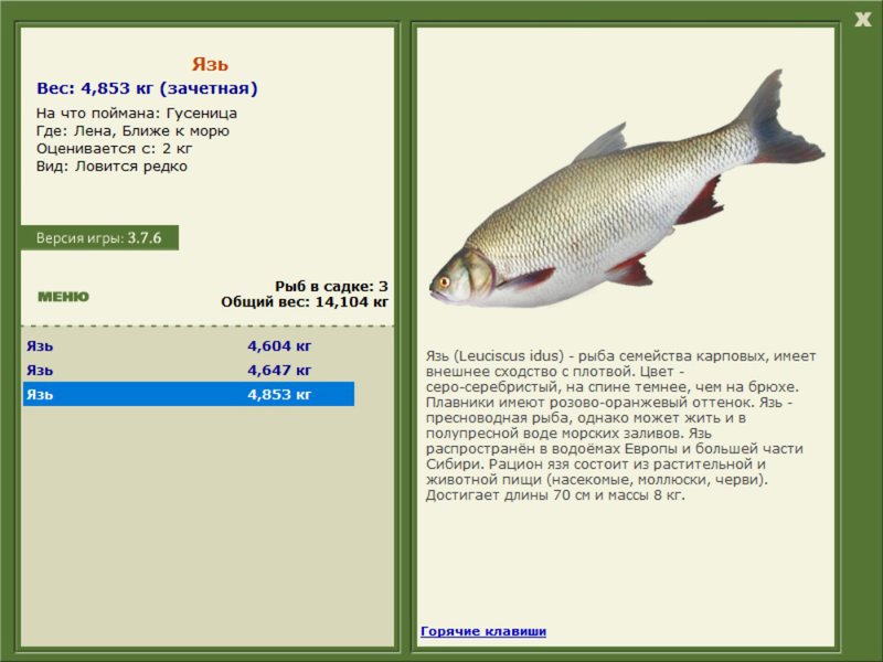 Ближе к морю 