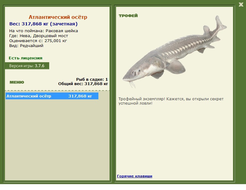 Дворцовый мост 