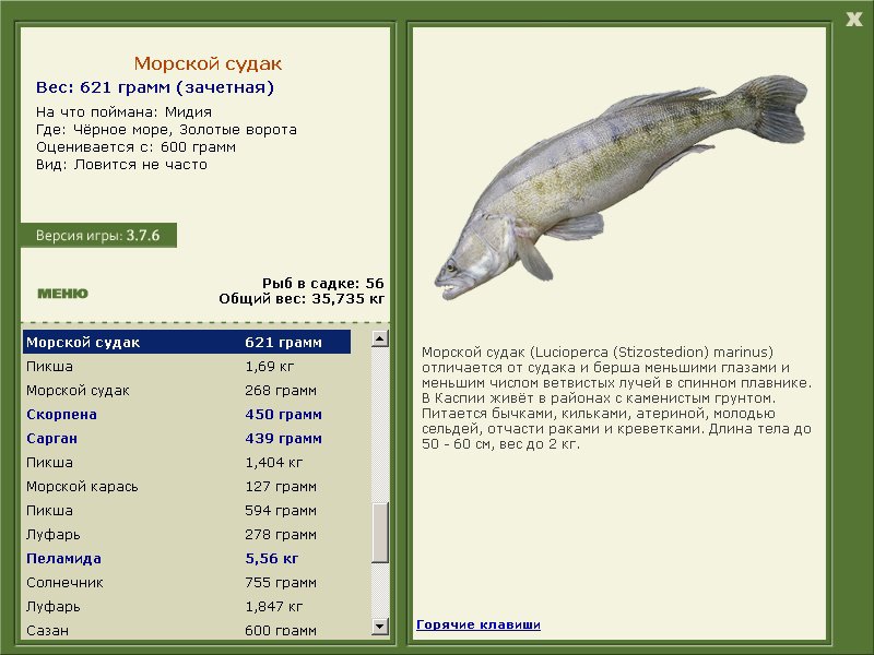 Чёрное море 