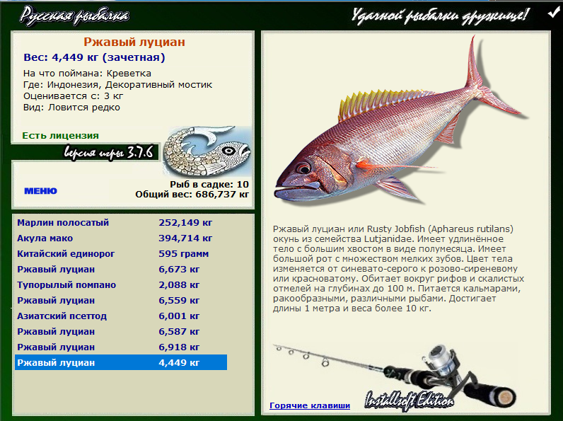 Jobfish перевод