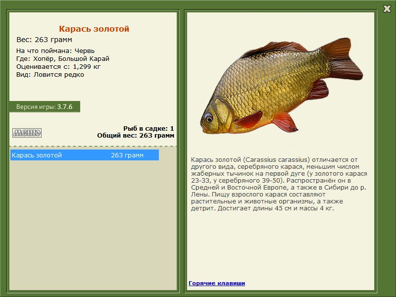 Большой Карай 