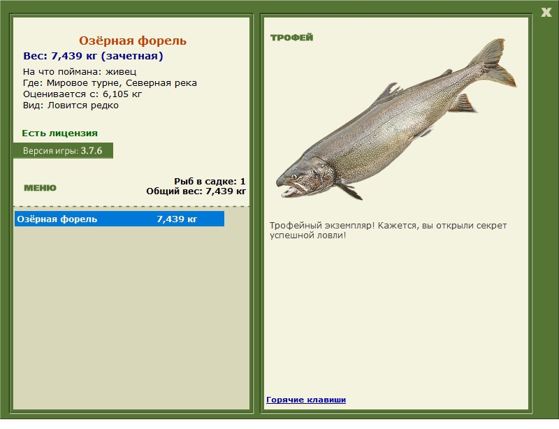 Живец 