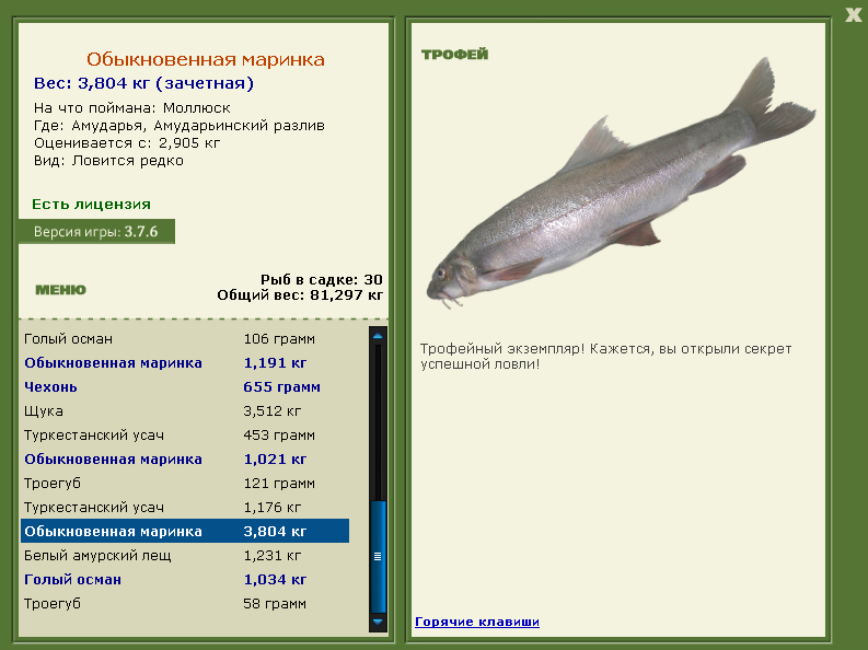 Обыкновенная маринка 