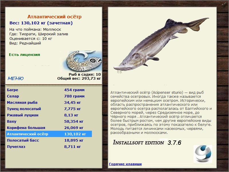 Широкий залив 
