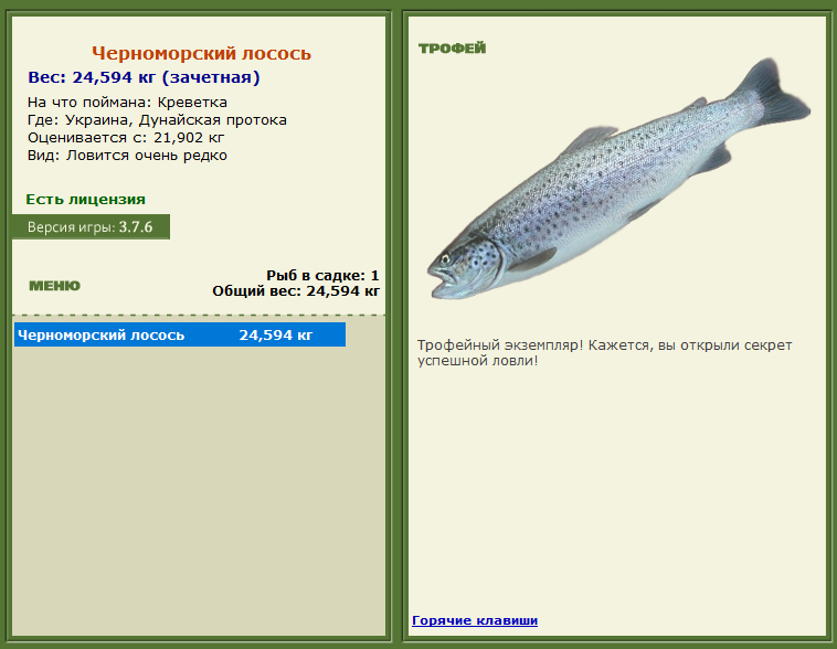 турниры • РУССКАЯ РЫБАЛКА