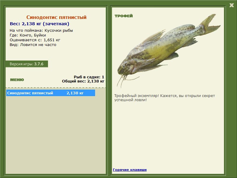 Синодонтис пятнистый 
