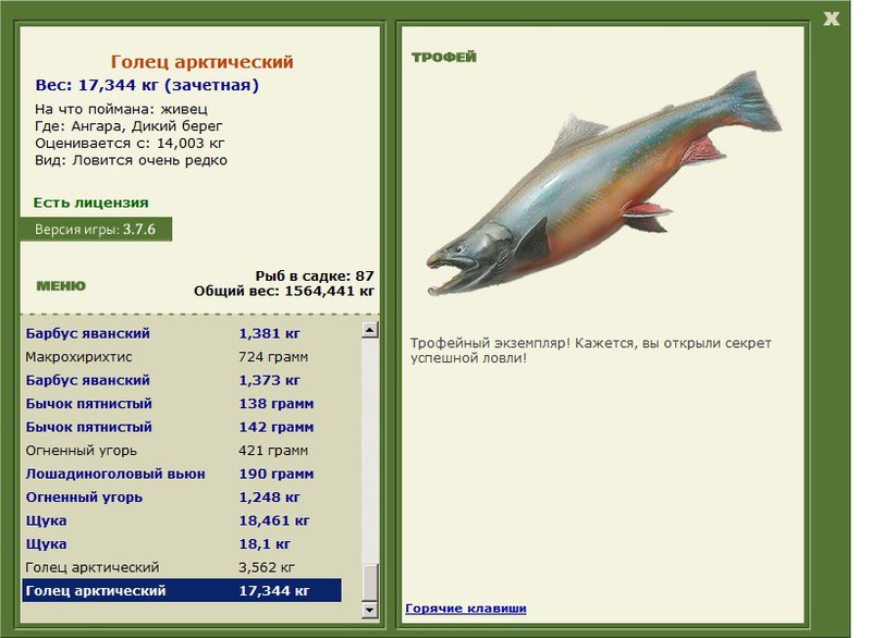 Дикий берег 