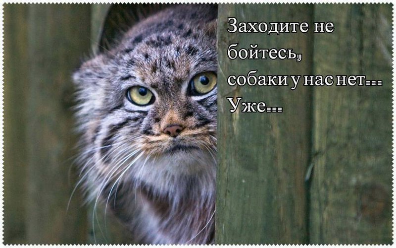  Прикольные фото
