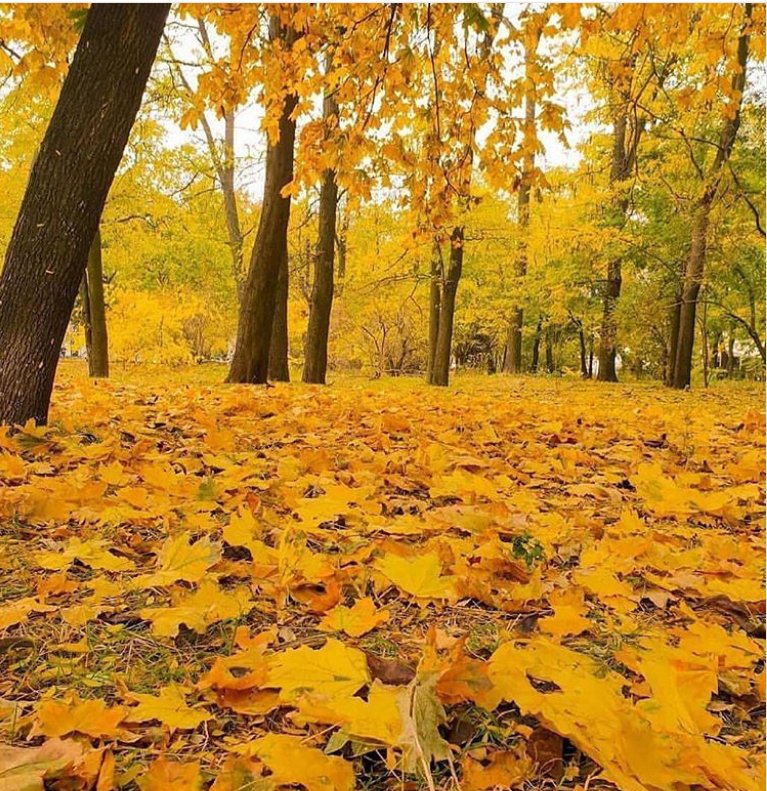  Просто красиво