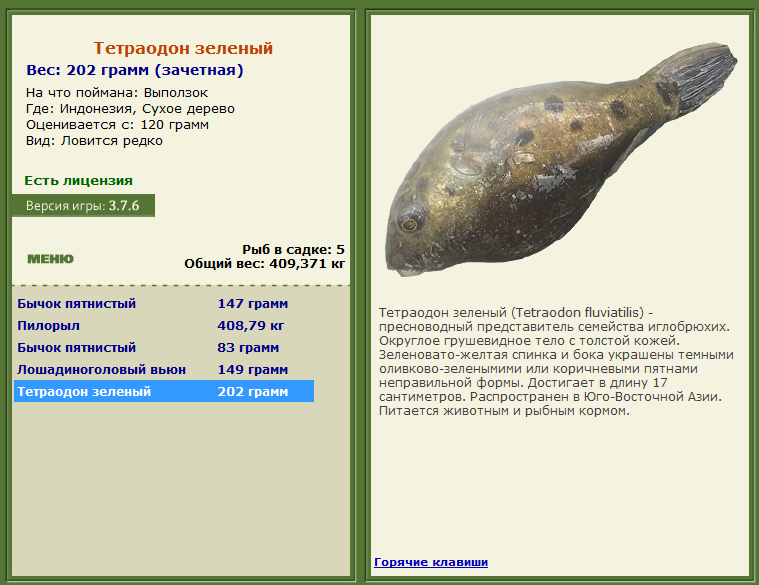 турниры • РУССКАЯ РЫБАЛКА