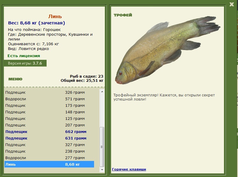 Кувшинки и лилии 