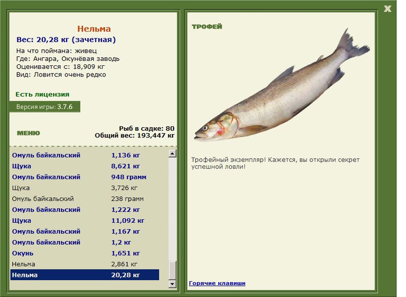 Нельма 