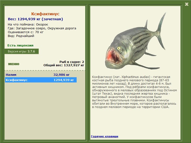Ксифактинус 