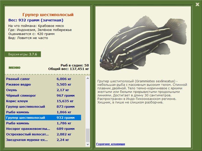 Зелёное побережье 