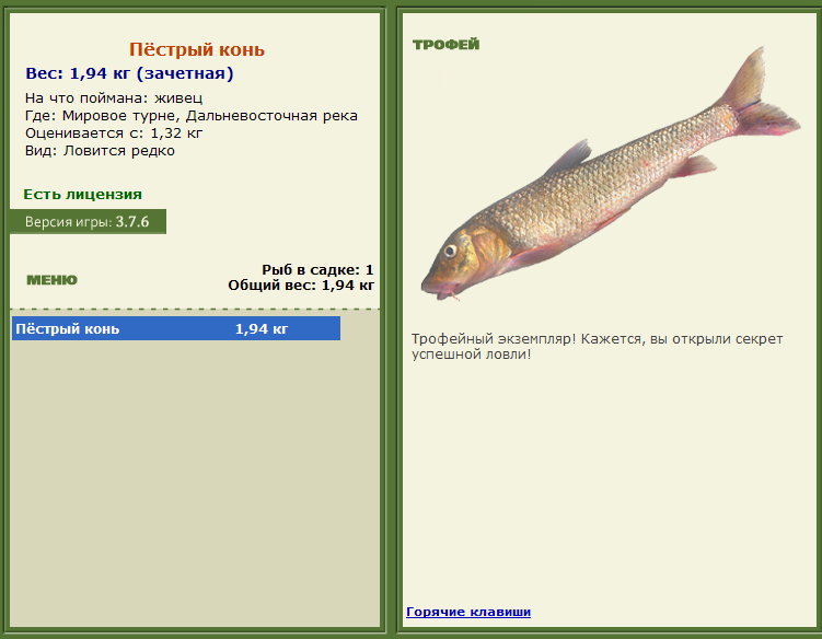 турниры • РУССКАЯ РЫБАЛКА