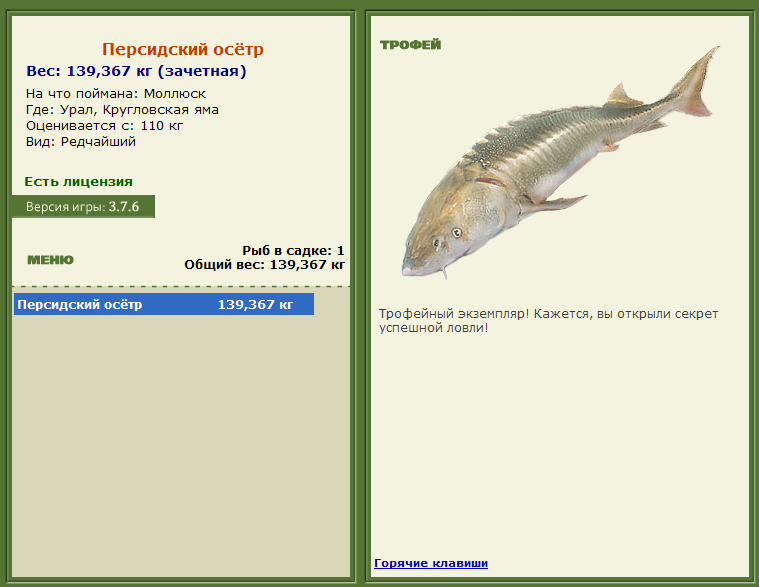 турниры • РУССКАЯ РЫБАЛКА