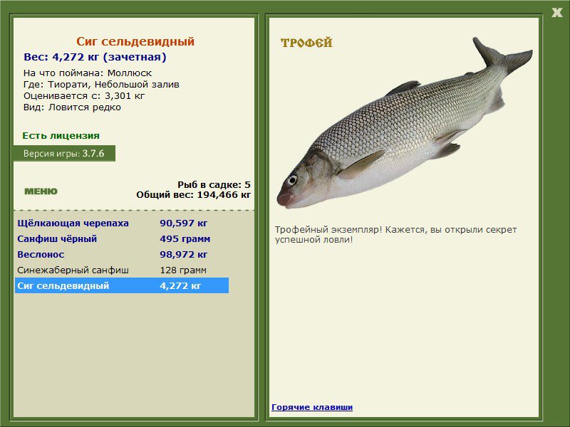 Небольшой залив 